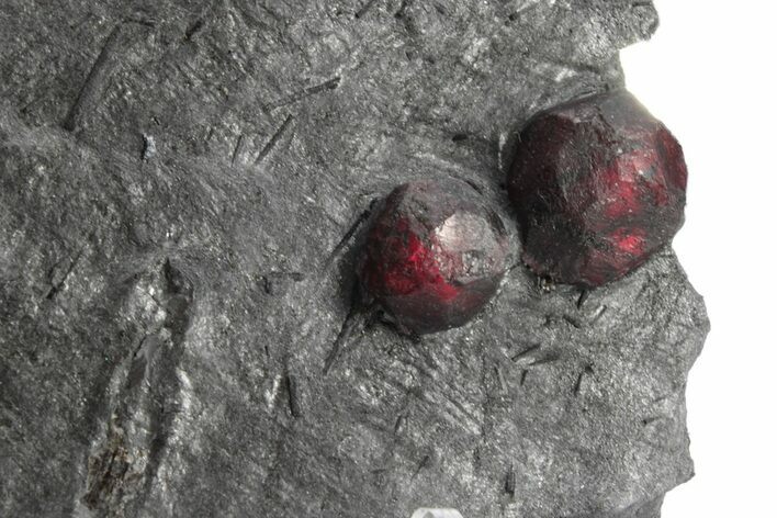 Plate of Two Red Embers Garnets in Graphite - Massachusetts #225896